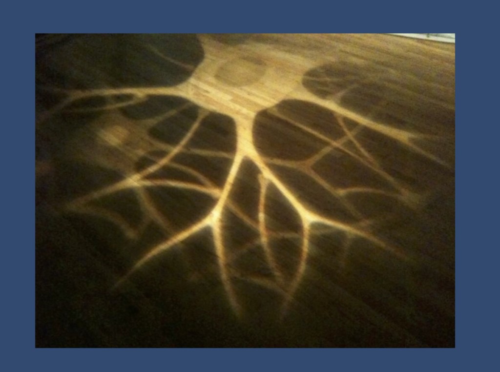 Neuron by Anders Sandberg - https://www.flickr.com/photos/arenamontanus/5733291371/ 