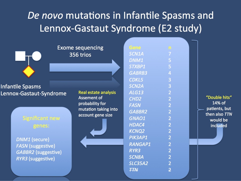 The E2 study analyzed 356 patient-parent trios with Infantile Spasms or Lennox-Gastaut Syndrome. In total, 12% of patients had genes that could be implicated as genes for epileptic encephalopathies. Some genes, however, even though they occurred in more than 1 patient, were not significant. TTN coding for titin (strikethrough) is one example, this gene is a known exome confounder. In order to tell causative genes from genomic noise, we used a real estate analysis that took into consideration the gene size. 