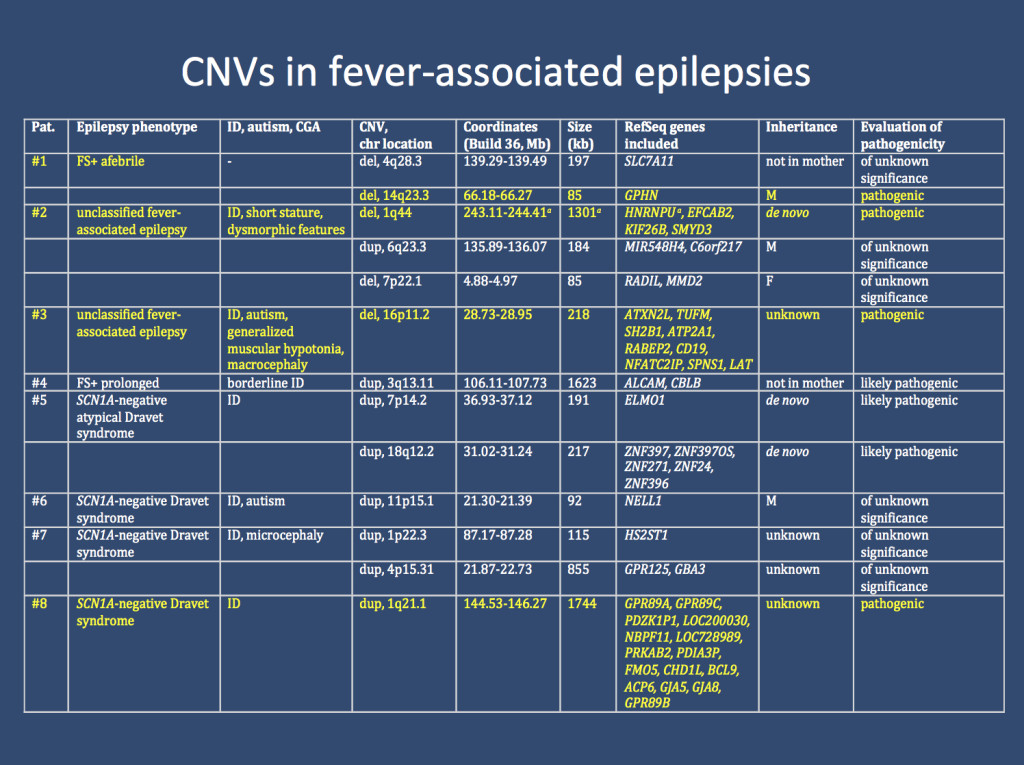 Overview of the 8/36 (22.2%) patients in our study by Hartmann and collaborators, which carried rare copy number variations (CNVs). In 4/36 patients, these CNVs were classified as pathogenic (marked in yellow). 