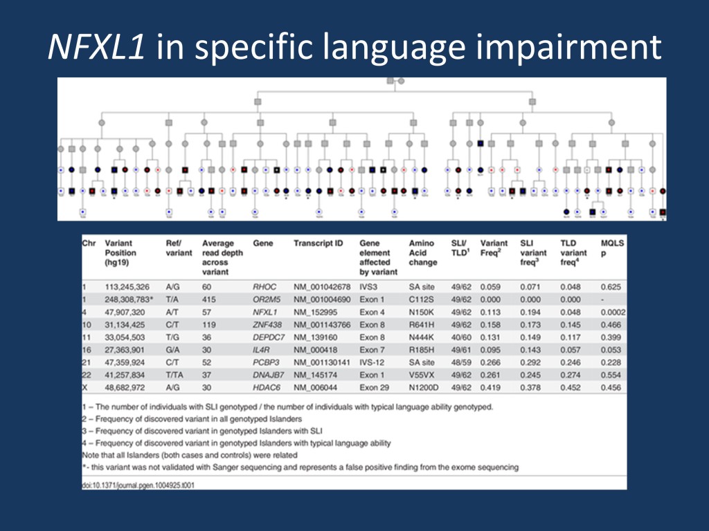 The pedigree of the founder population with individuals with specific language impairment in black and a list of variants identified in 5 individuals with specific language impairment undergoing exome sequencing. Only the variant in NFXL1 is significant when the candidate variants were tested for association with a speech delay phenotype in the Robinson Crusoe population. (modified from http://journals.plos.org/plosgenetics/article?id=10.1371/journal.pgen.1004925 under a Creative Commons License). 